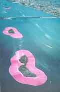 christo_islands.jpg - 3kb