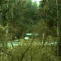 neuer_teich_foto.jpg - 2kb