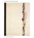 newman_rosenberg_station_I_gross.jpg - 2kb