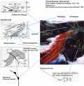 warmfront.jpg - 3kb
