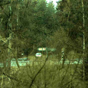 neuer_teich_foto.jpg - 12kb
